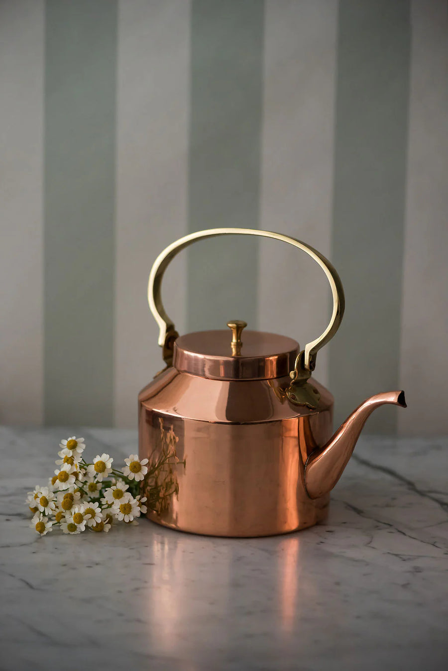 English Copper Tea Kettle