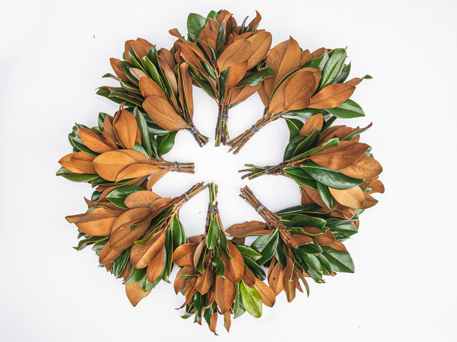 Genuine Brown Velvet Magnolia Bunch