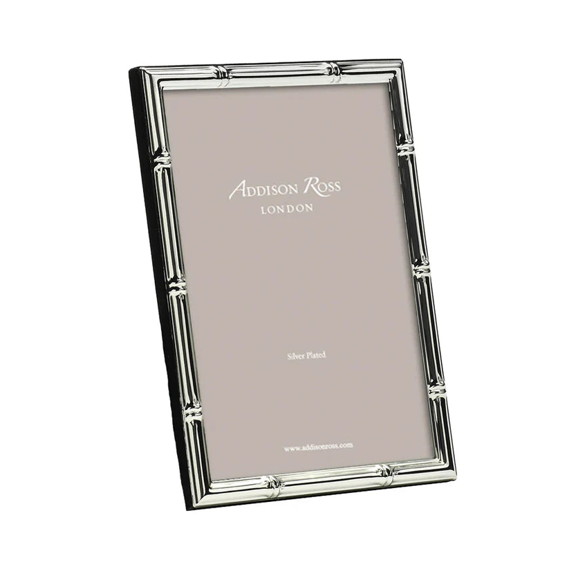 Bamboo Silver Frame