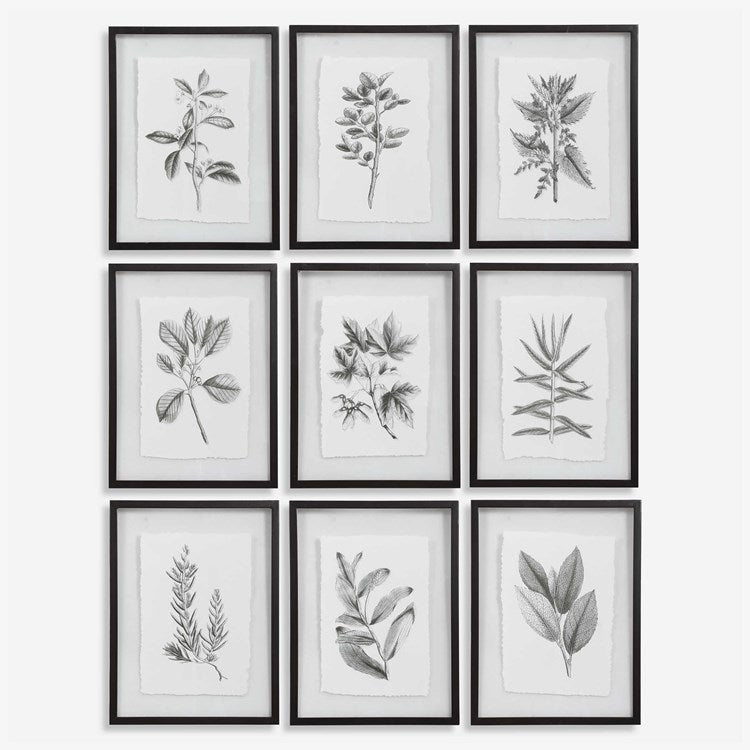 Countryside Florals Framed Prints,  s/9