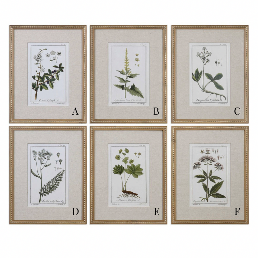 Green Floral Botanical Framed Prints