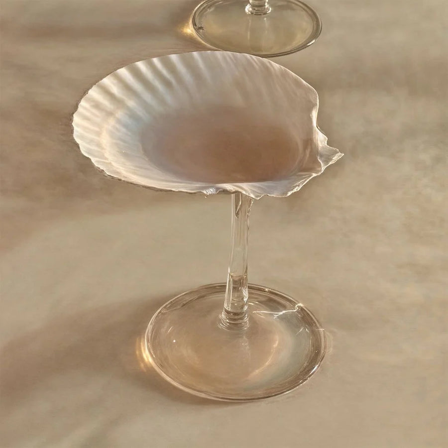 Seashell Drinking  Glass