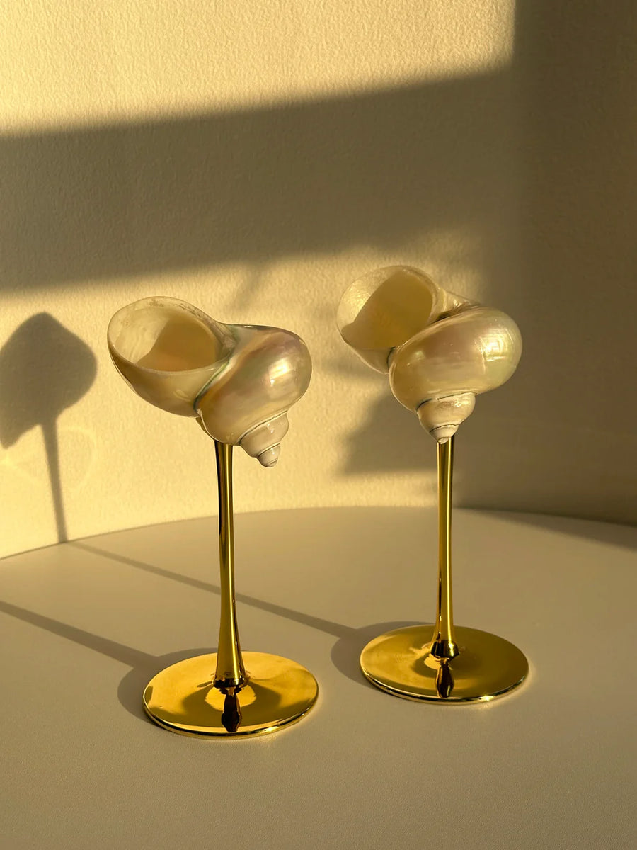 Conch Shell Cocktail Glass