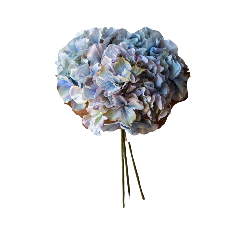 Hydrangea Bundle - Late Season Blue & Green