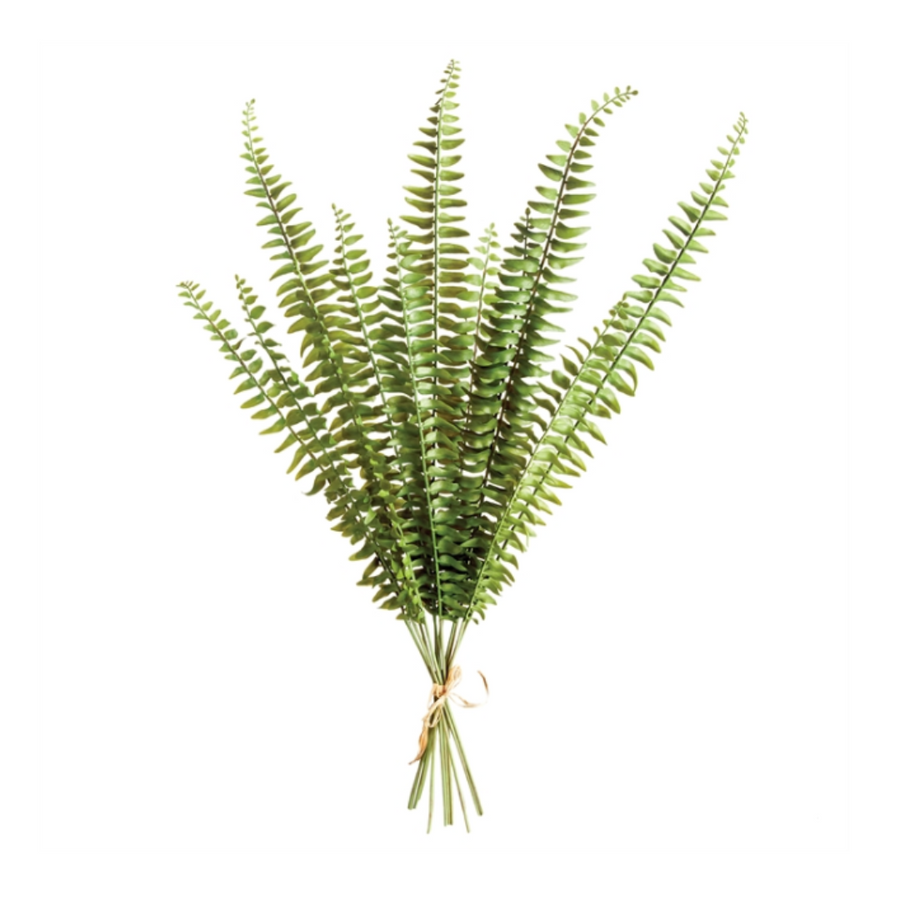 Faux Boston Fern Stems