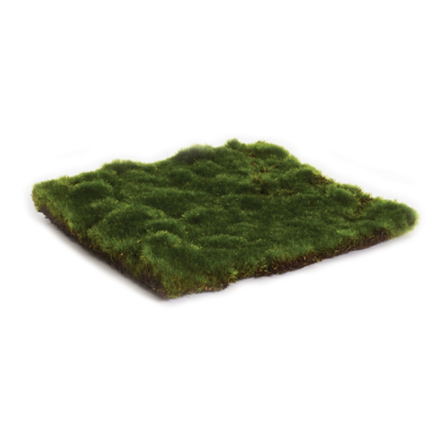 Moss Sheet Square - 8"