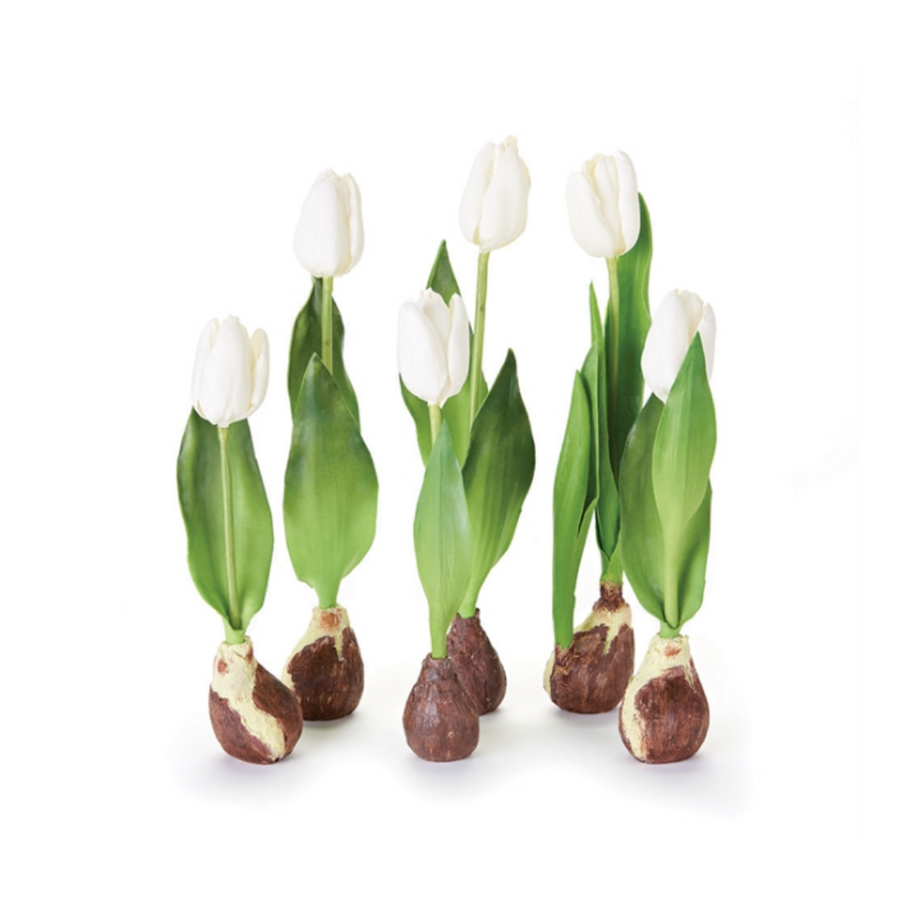 Standing Tulips with Bulbs, Set of 6