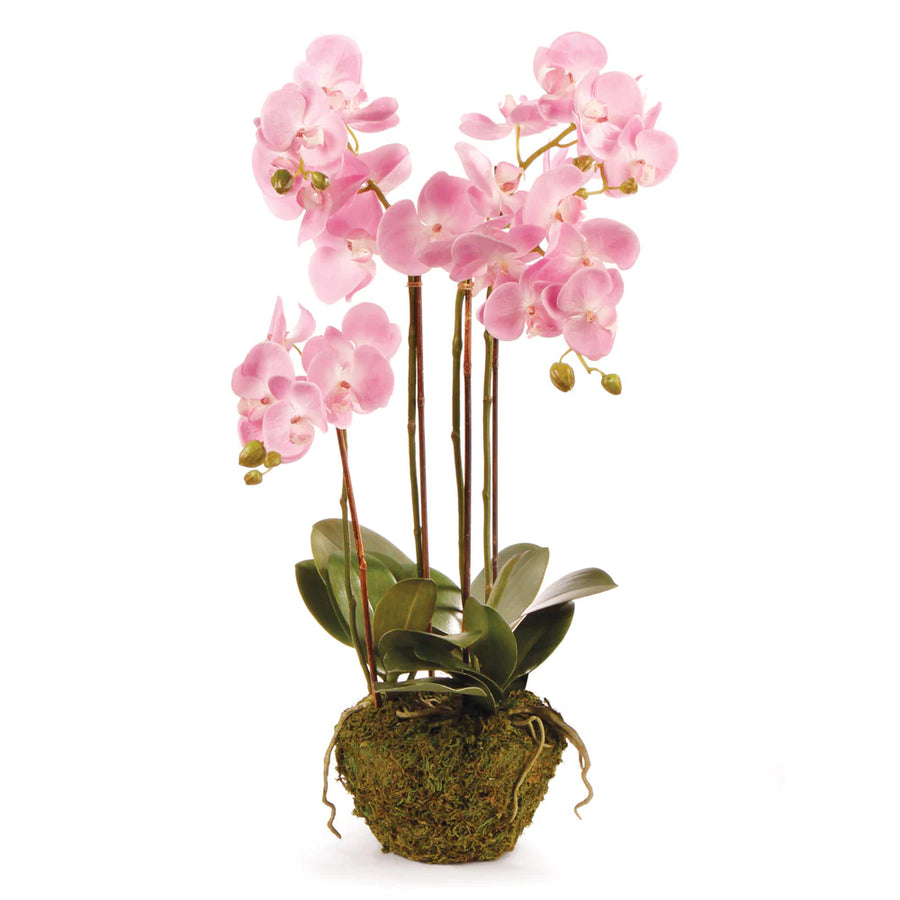 Orchid Drop-In 30" - Pink