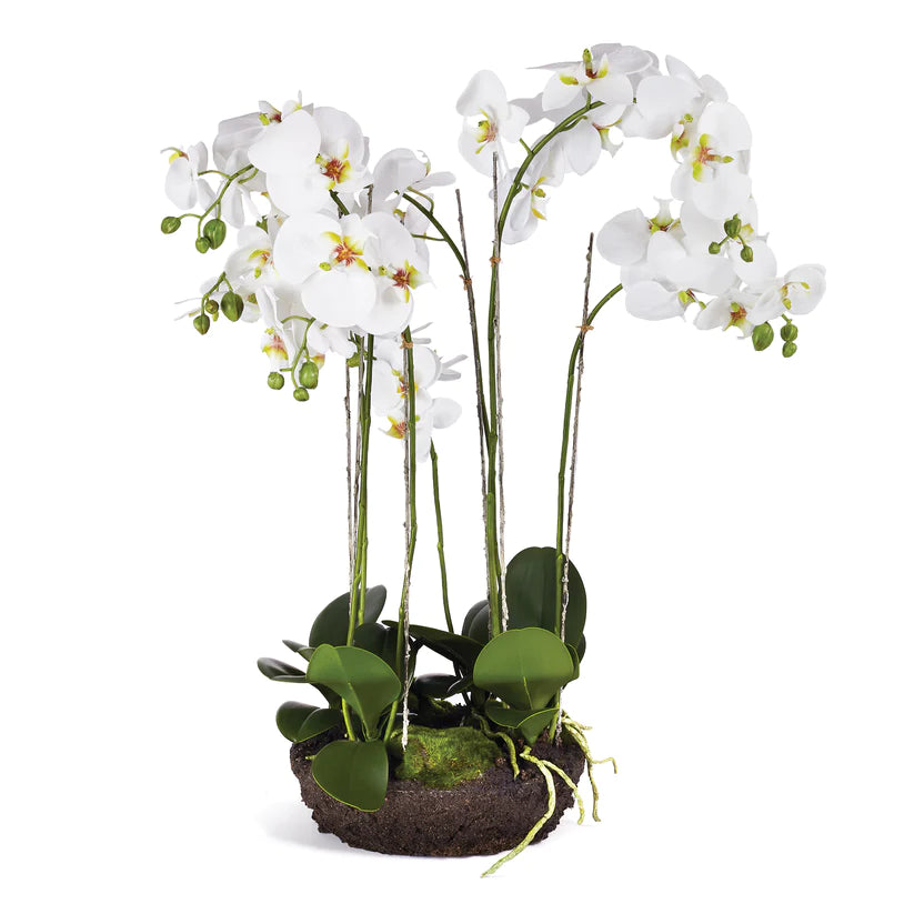 Orchid Bowl Drop-In 31.5" - White