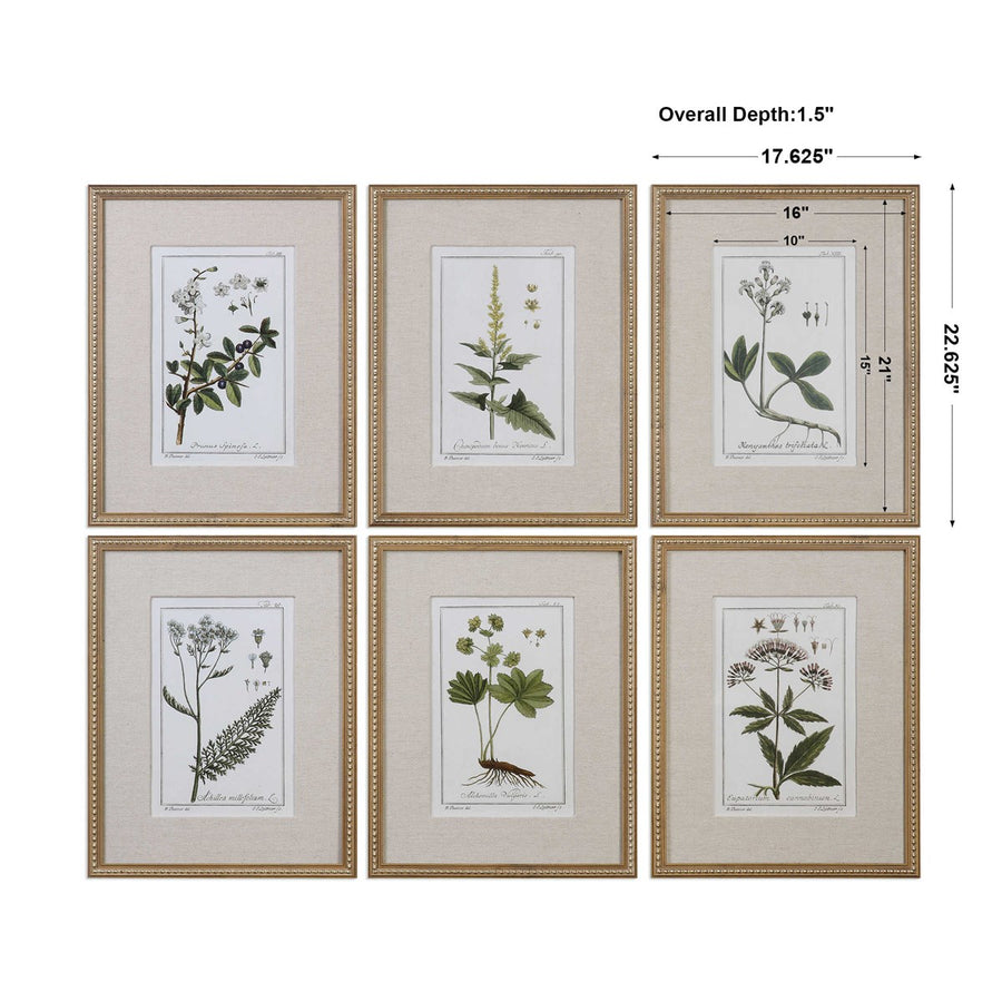 Green Floral Botanical Framed Prints